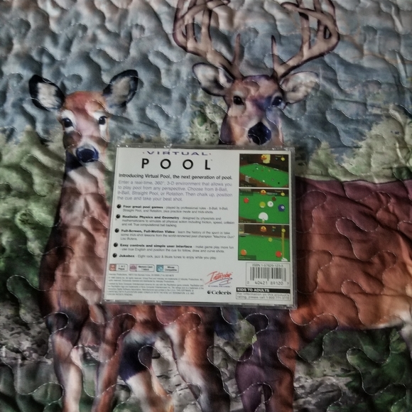 Virtual Pool - Picture 4 of 4